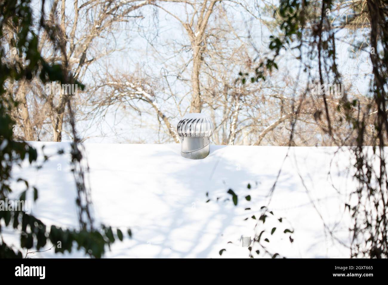 Viti che incorniciano un tetto innevato e un diffusore di uccelli vorticei Foto Stock