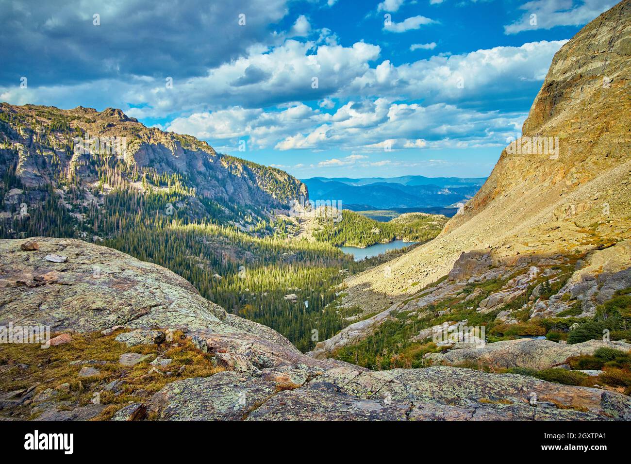Paesaggio di montagna con lago e pini Foto Stock