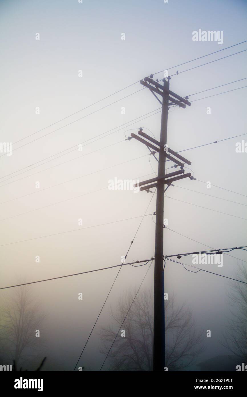 Telefono e linee telefoniche in una giornata di nebbia Foto Stock