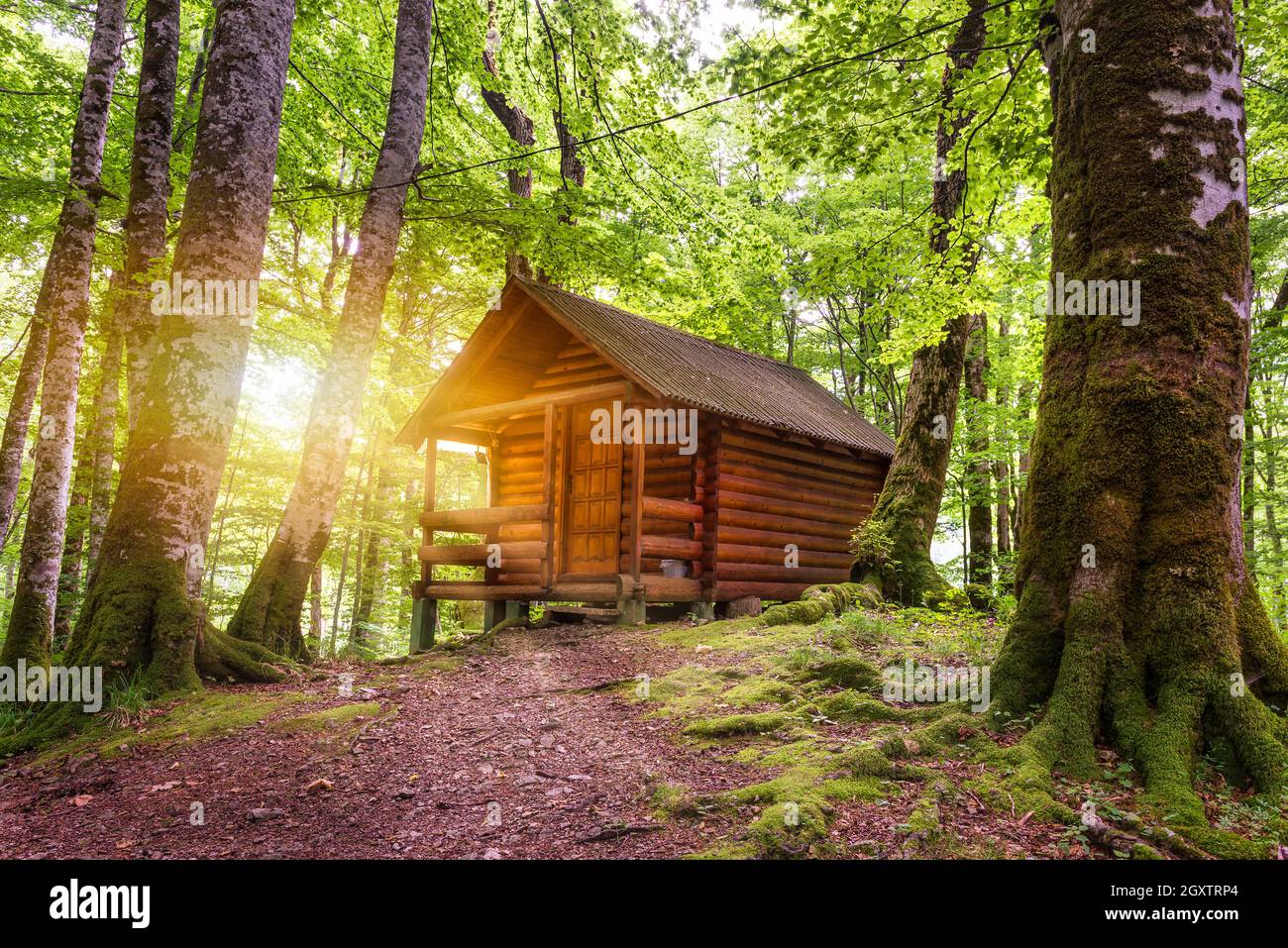 Cottage in legno nella foresta vicino al lago Biogradsko in Montenegro Foto Stock