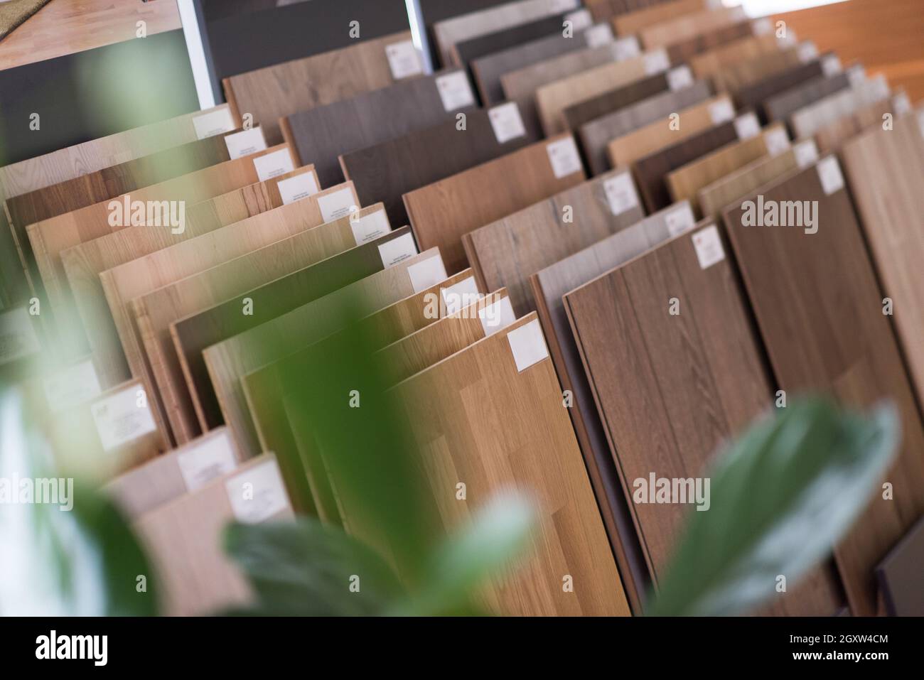 Campioni nella fabbricazione di mobili in legno Foto Stock