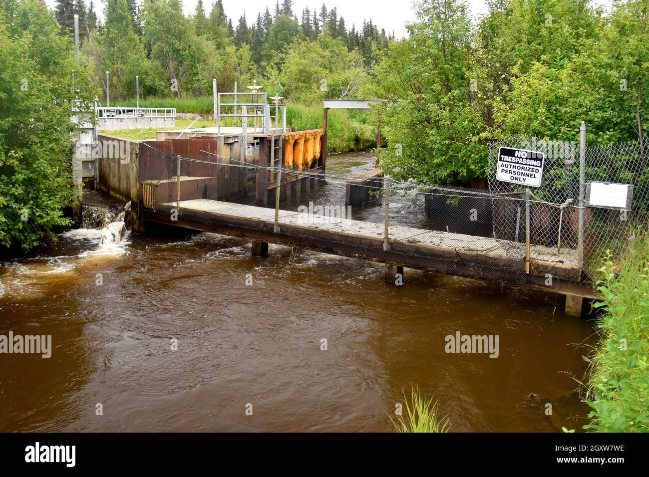 Crooked Creek Weir, Penisola di Kenai, Alaska, Stati Uniti Foto Stock