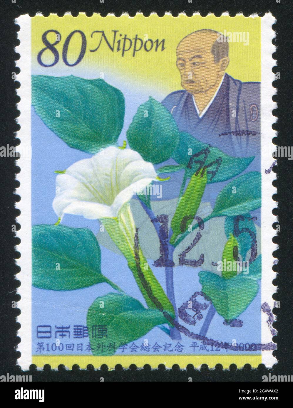 GIAPPONE - CIRCA 2000: Timbro stampato dal Giappone, mostra Seishu Hanaoka, medico, e fiore, circa 2000 Foto Stock