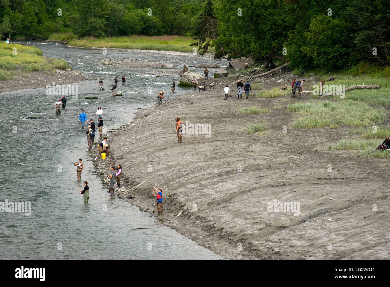 Pesca sportiva al salmone nel Bird Creek, Anchorage, Alaska, USA Foto Stock