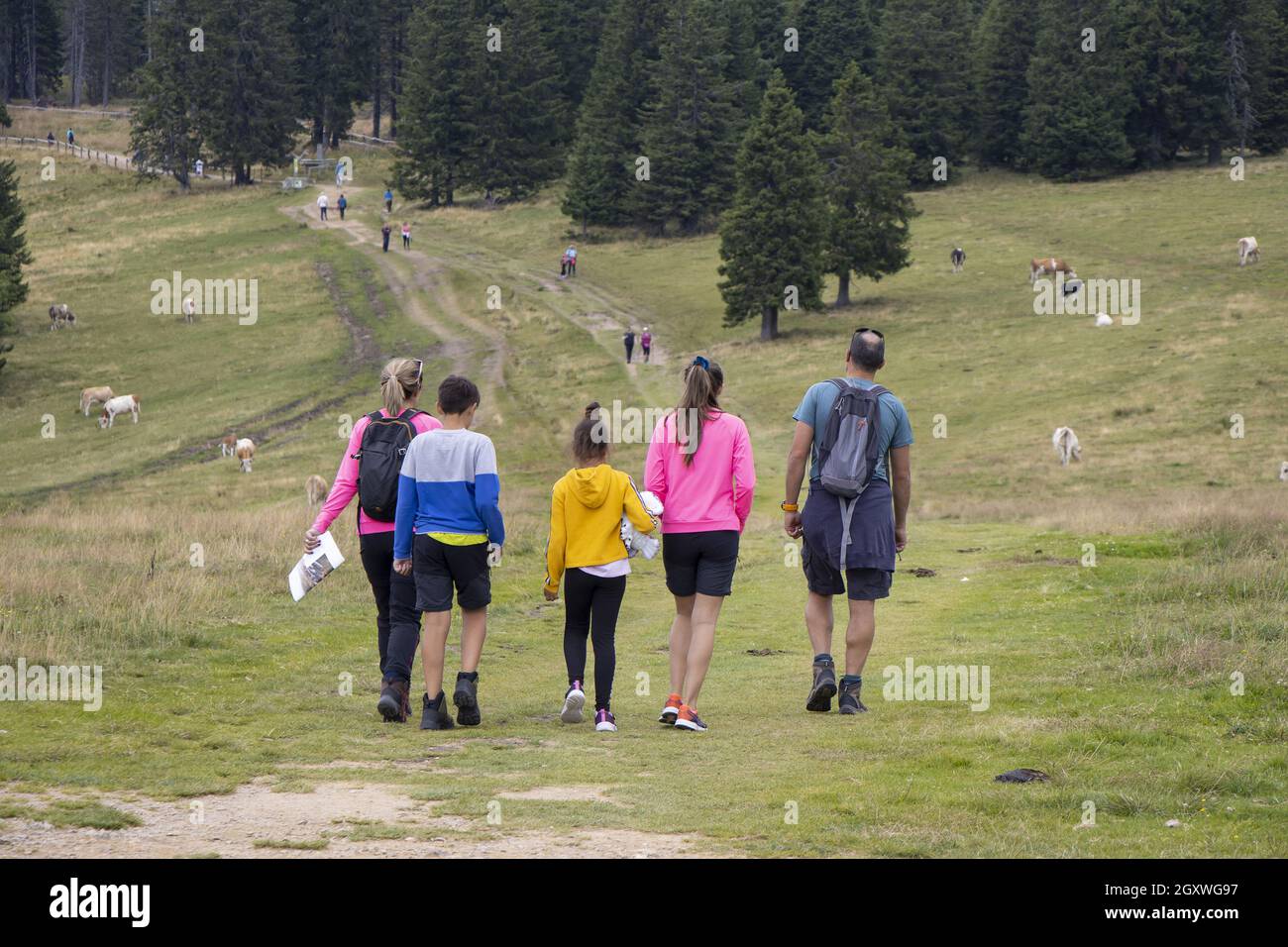 Famiglia con bambini escursioni all'aperto in estate natura Foto Stock