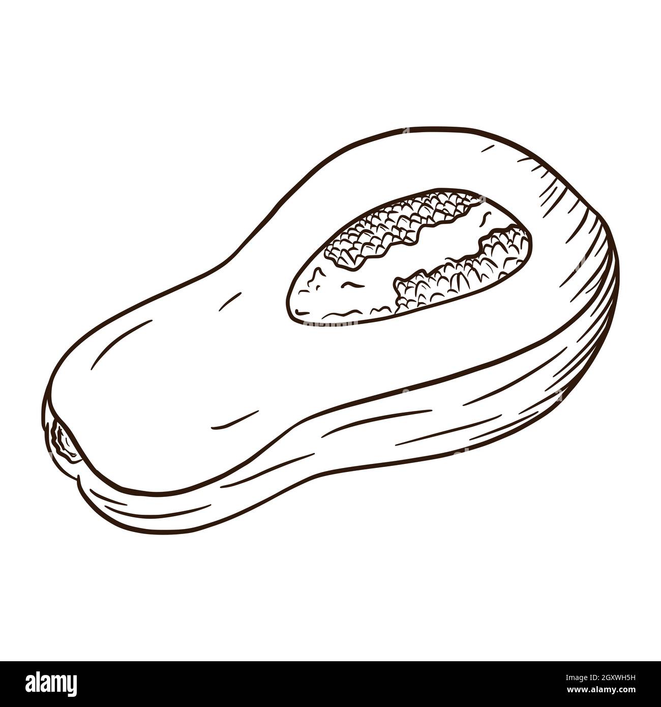 Illustrazione di un pezzo di squash di Butternut di Line Art. Icona della zucca d'autunno. Nuovo schizzo di zucca. Elemento decorativo autunnale, invito a Halloween, raccolto, adesivo, stampa, logo, menu, recipe.pumpkin. Illustrazione Vettoriale