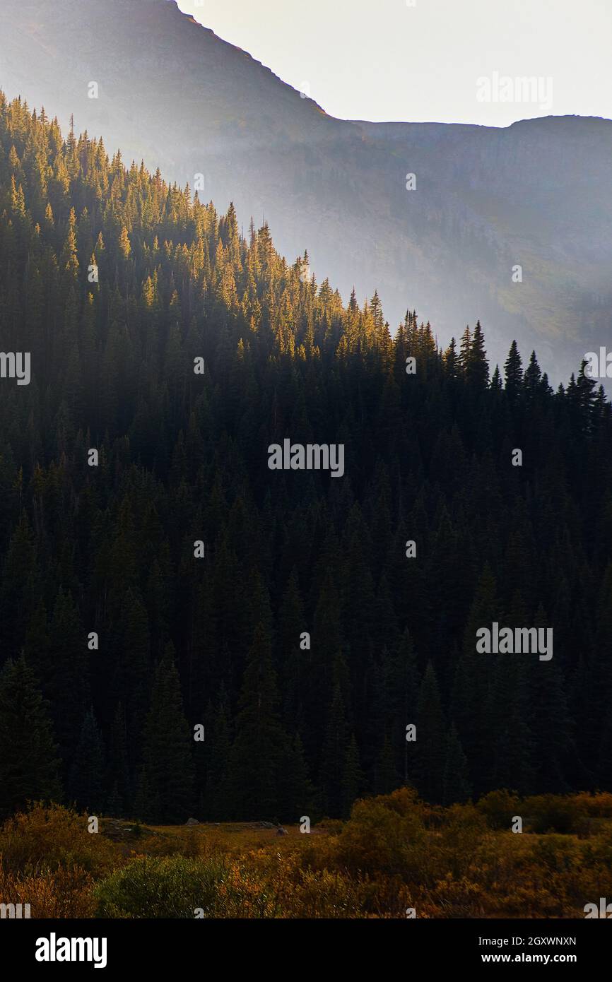 Montagne coperte di pini con travi di luce del sole che colpiscono le cime Foto Stock