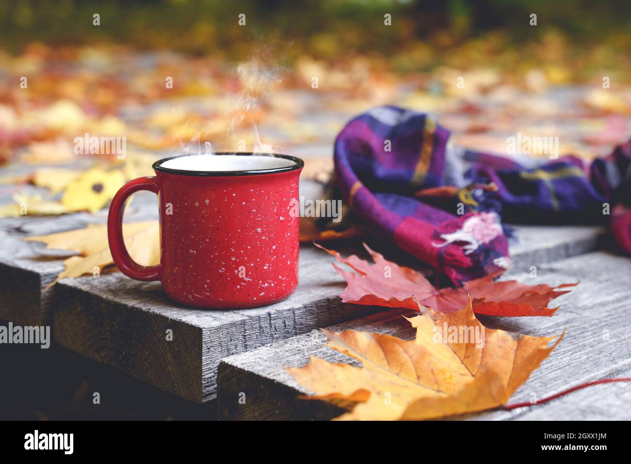 Tazze Divertenti Con Facce Felici - Fotografie stock e altre immagini di  Abbracciare una persona - Abbracciare una persona, Amicizia, Attività del  Fine-Settimana - iStock