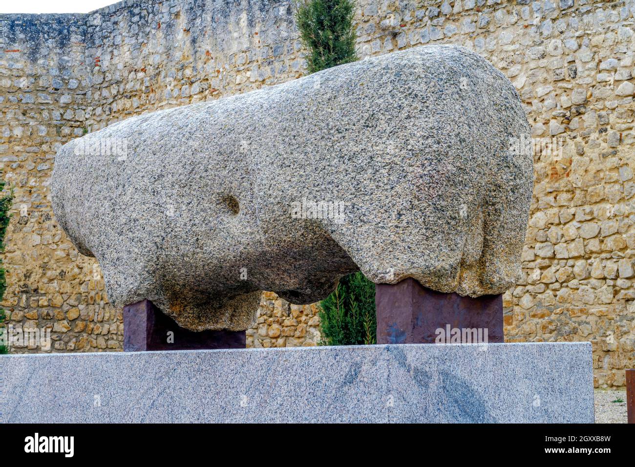Cinghiale di granito in Toro Zamora Spagna. Origine di Veton del periodo pre-romano Foto Stock