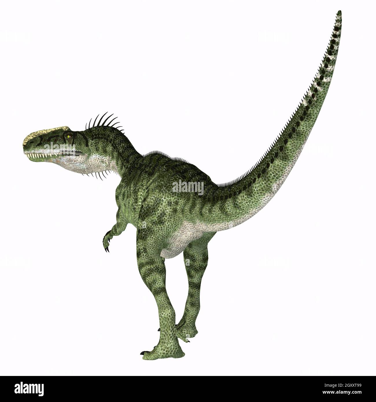 Monolophosaurus era un dinosauro teropodico carnivoro che visse in Cina durante il periodo giurassico. Foto Stock