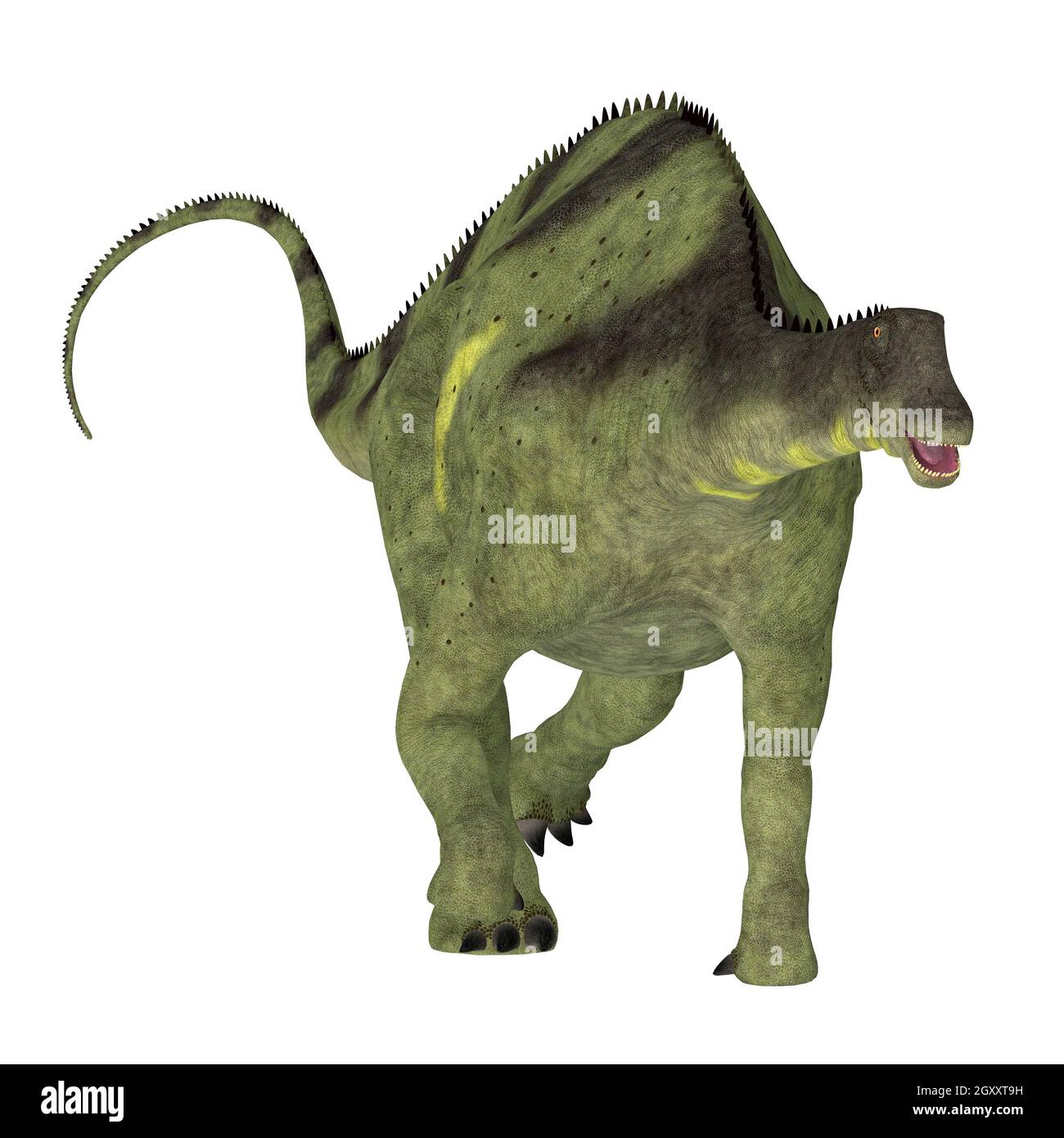 Brachytrachelopan era un dinosauro erbivoro sauropodi che visse in Argentina durante il periodo giurassico. Foto Stock