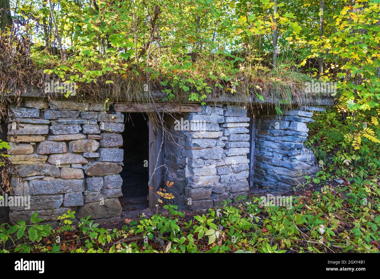 Casa rovina in una foresta in autunno Foto Stock