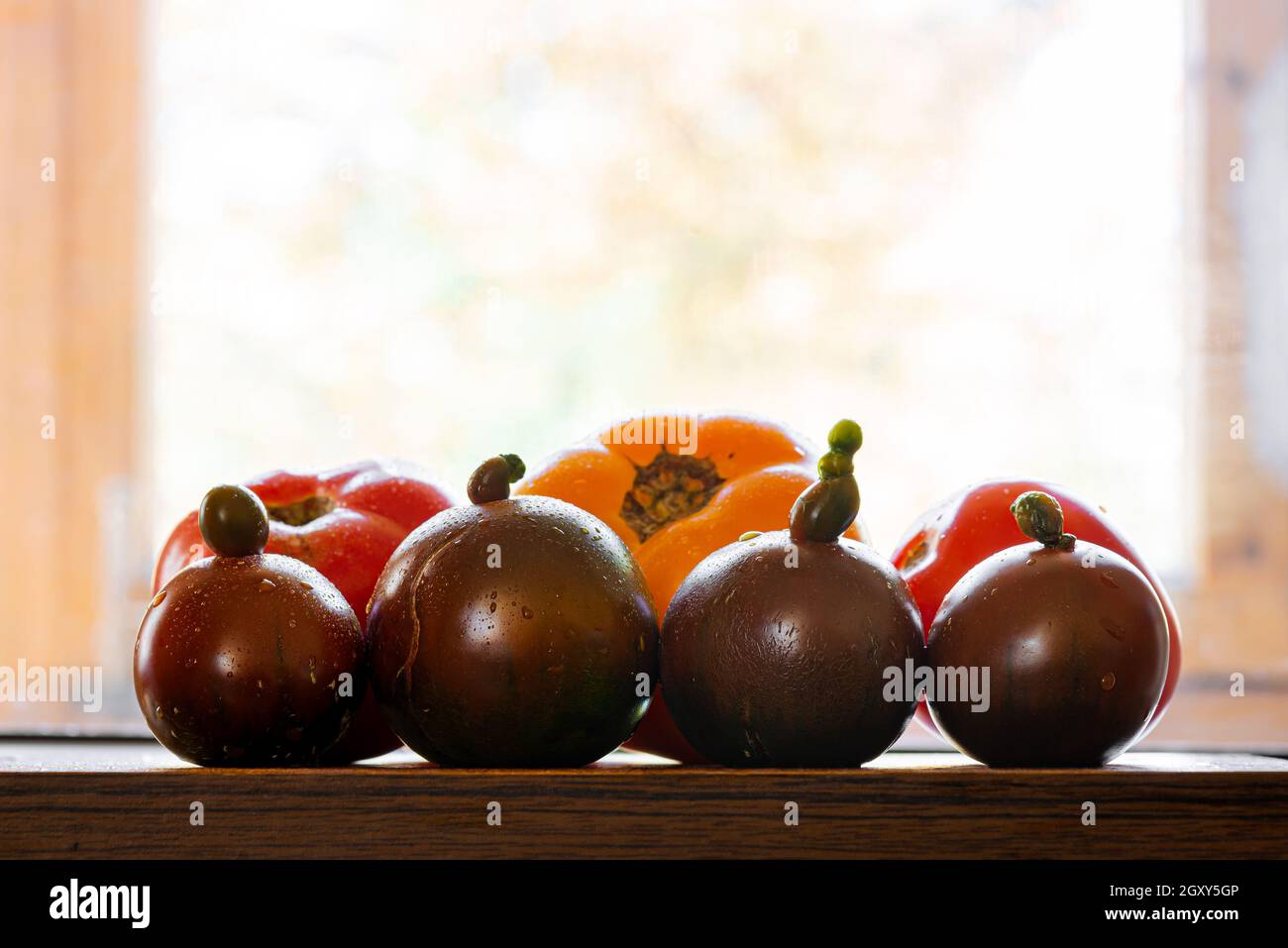 Vari tipi di pomodori, gialli, rossi e neri, su un tagliere Foto Stock