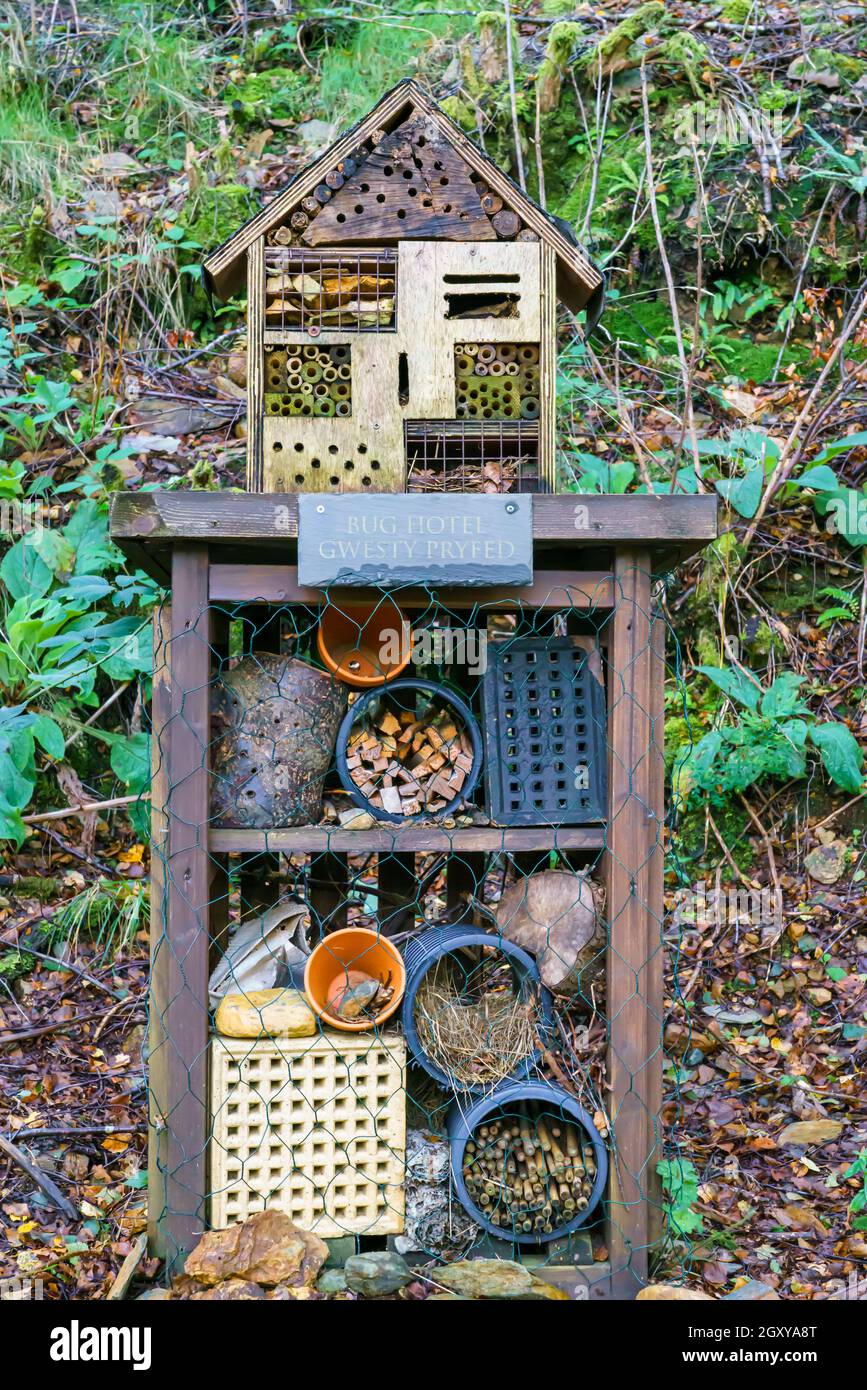 Bug hotel metropoli su un sentiero natura in Galles Regno Unito Foto Stock