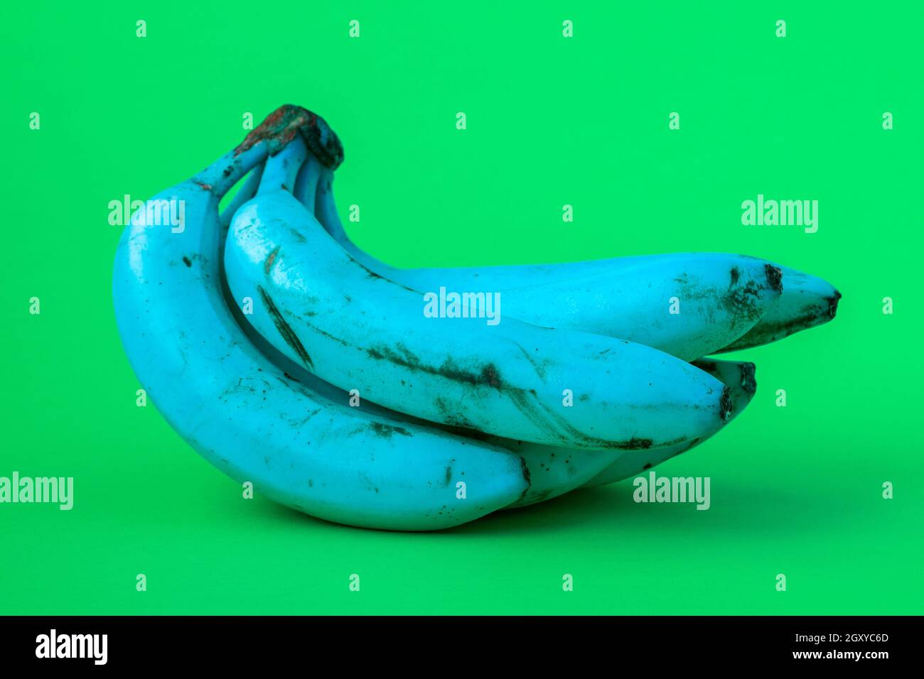 Alimenti geneticamente modificati, concetto OGM. Banane blu su sfondo verde. Foto Stock