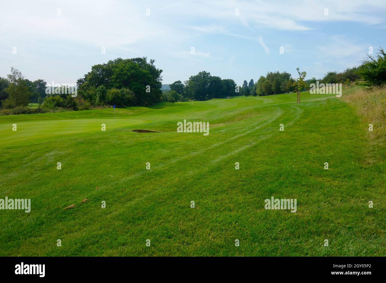 Campo da golf Reigate Heath, Surrey, Regno Unito. Foto Stock