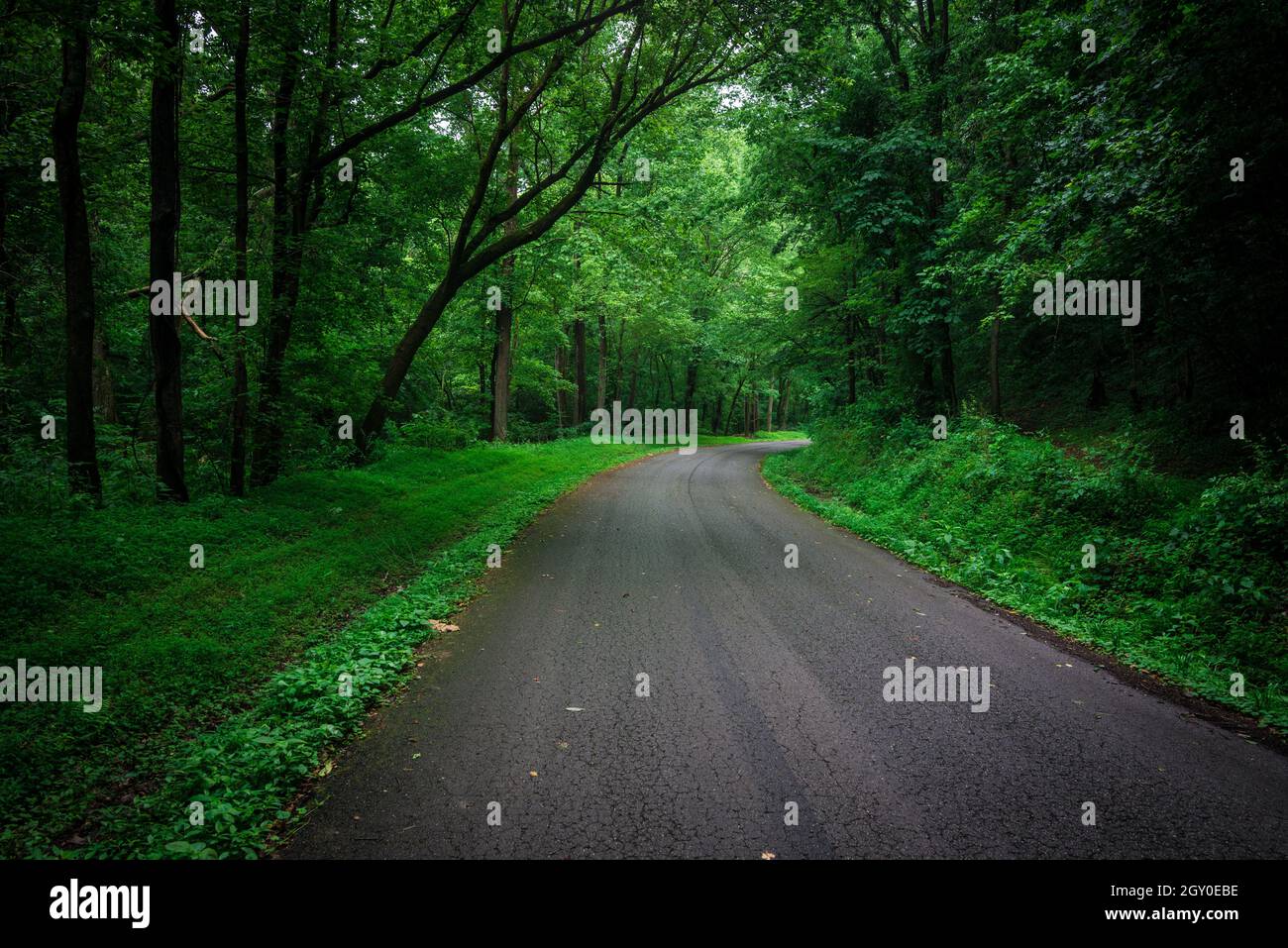 Backcountry Road - ft Knox - Kentucky settentrionale Foto Stock