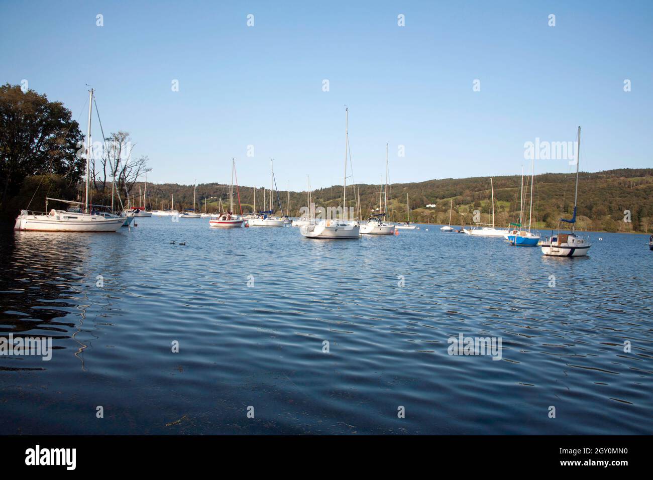 Barche a vela ormeggiate sull'acqua Coniston in una serata d'autunno il Lake District Cumbria Inghilterra Foto Stock