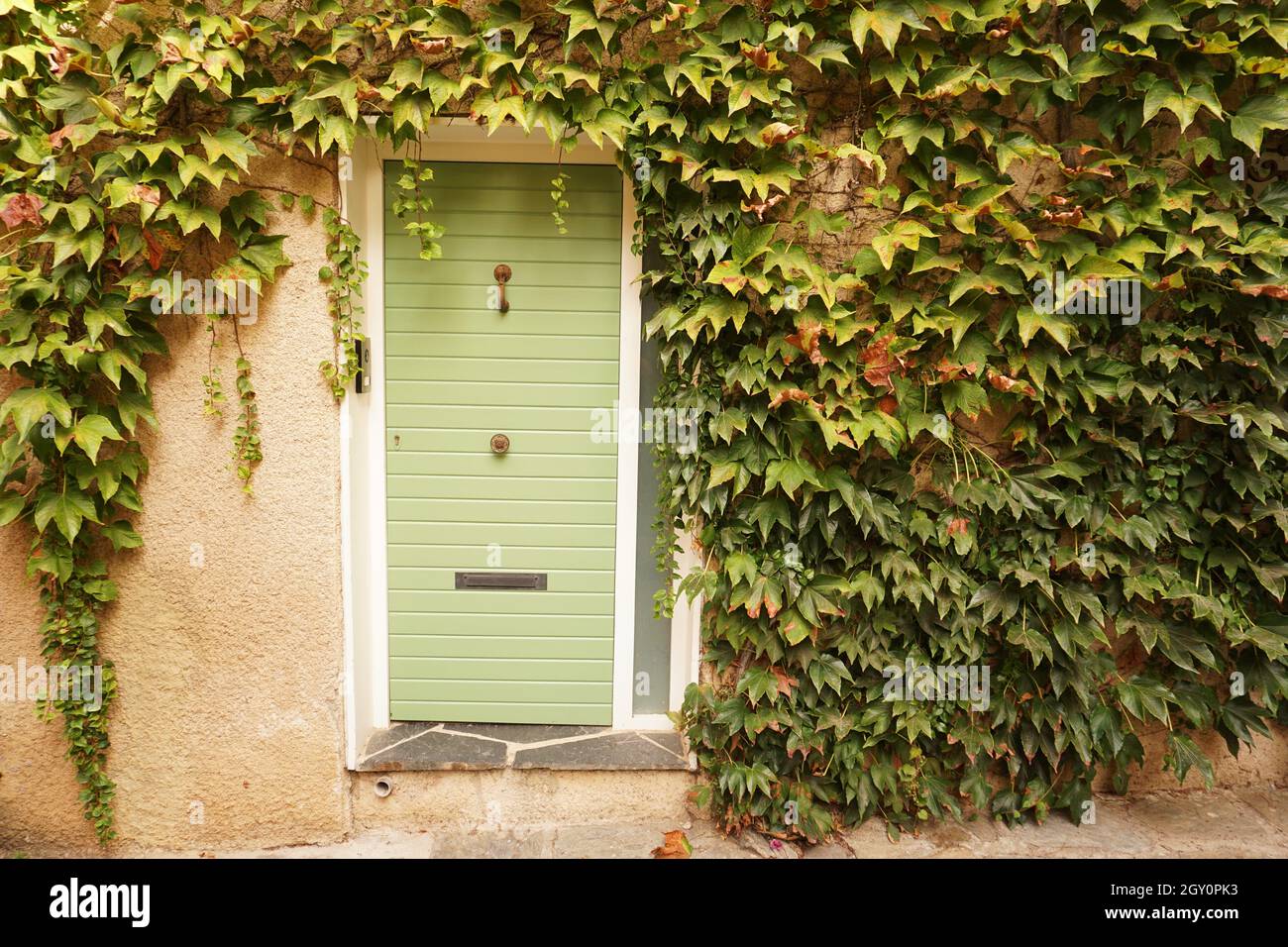 Porta esterna verde di casa circondata da impianto di arrampicata in villaggio in Francia Foto Stock