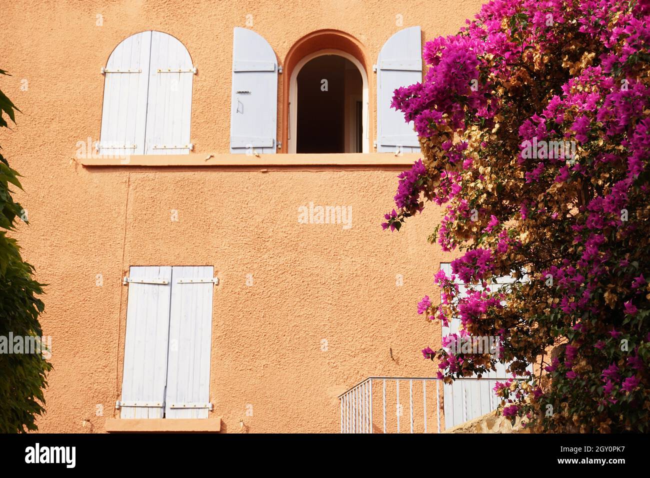 Casa di colore luminoso fronte adornato con pianta in fiore nel villaggio di mare mediterraneo di Collioure nel sud della Francia Foto Stock