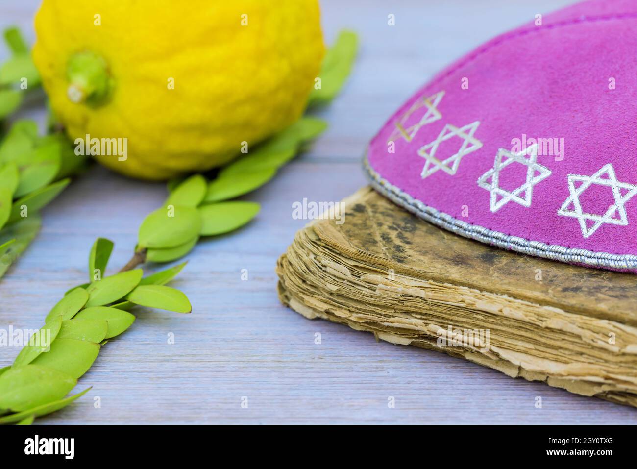 Simboli ebrei vacanza di Sukkot in una sinagoga Foto Stock