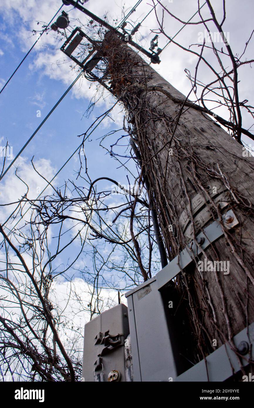 Grande asta telefonica con box in metallo contro il cielo nuvoloso Foto Stock