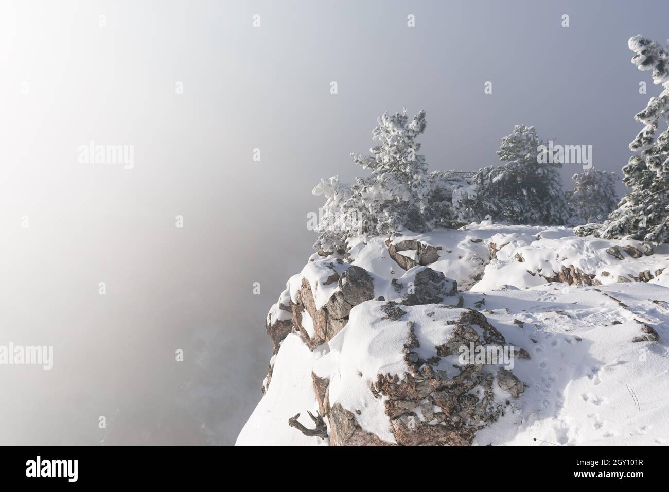 Montagne di pini di neve. Favoloso paesaggio invernale magico. Una passeggiata lungo le pendici delle montagne in una nevicata. Incredibile paesaggio incredibile. Il conc Foto Stock
