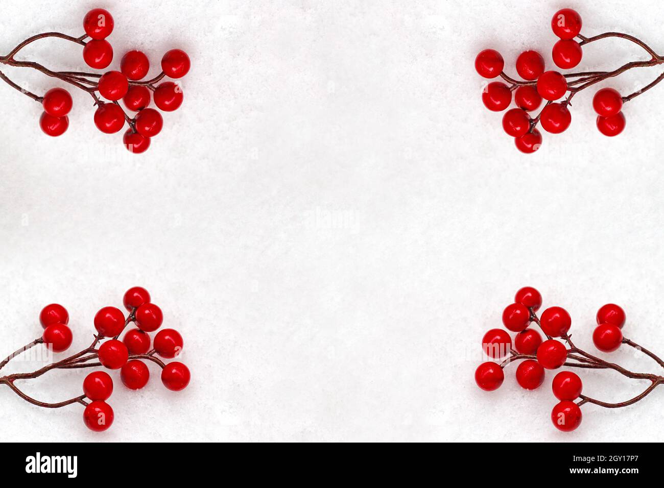 Bacche rosse su sfondo nevoso. Idee per il periodo di natale. Foto Stock