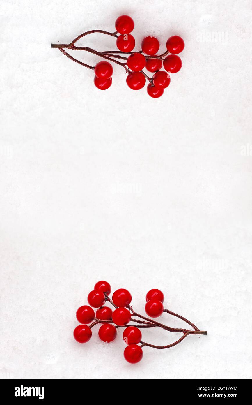 Bacche rosse su sfondo nevoso. Idee per il periodo di natale. Foto Stock