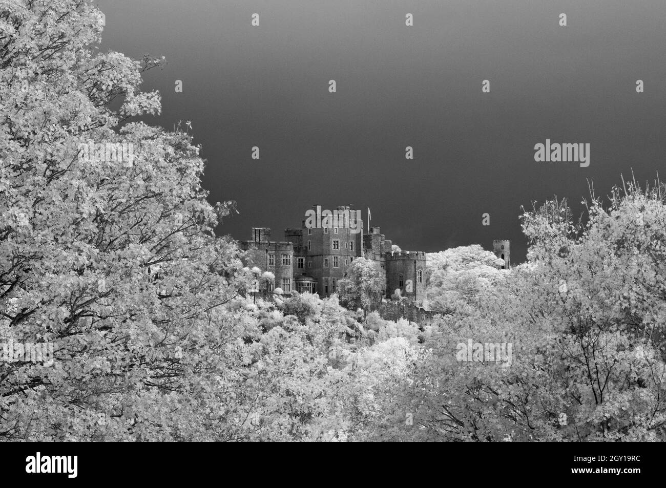 Una vista autunnale di prima mattina del castello di Dunster e dei boschi circostanti dalle pendici inferiori di Gallax Hill nel Parco Nazionale Exmoor, Somerset, Inghilterra Foto Stock