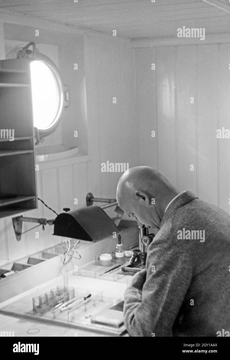 Bei der Arbeit in der Biologischen Anstalt Helgoland, Deutschland 1930er Jahre. Sul posto di lavoro a Biologische Anstalt, Istituto per la ricerca biologica presso l'isola di Helgoland, Germania 1930s. Foto Stock