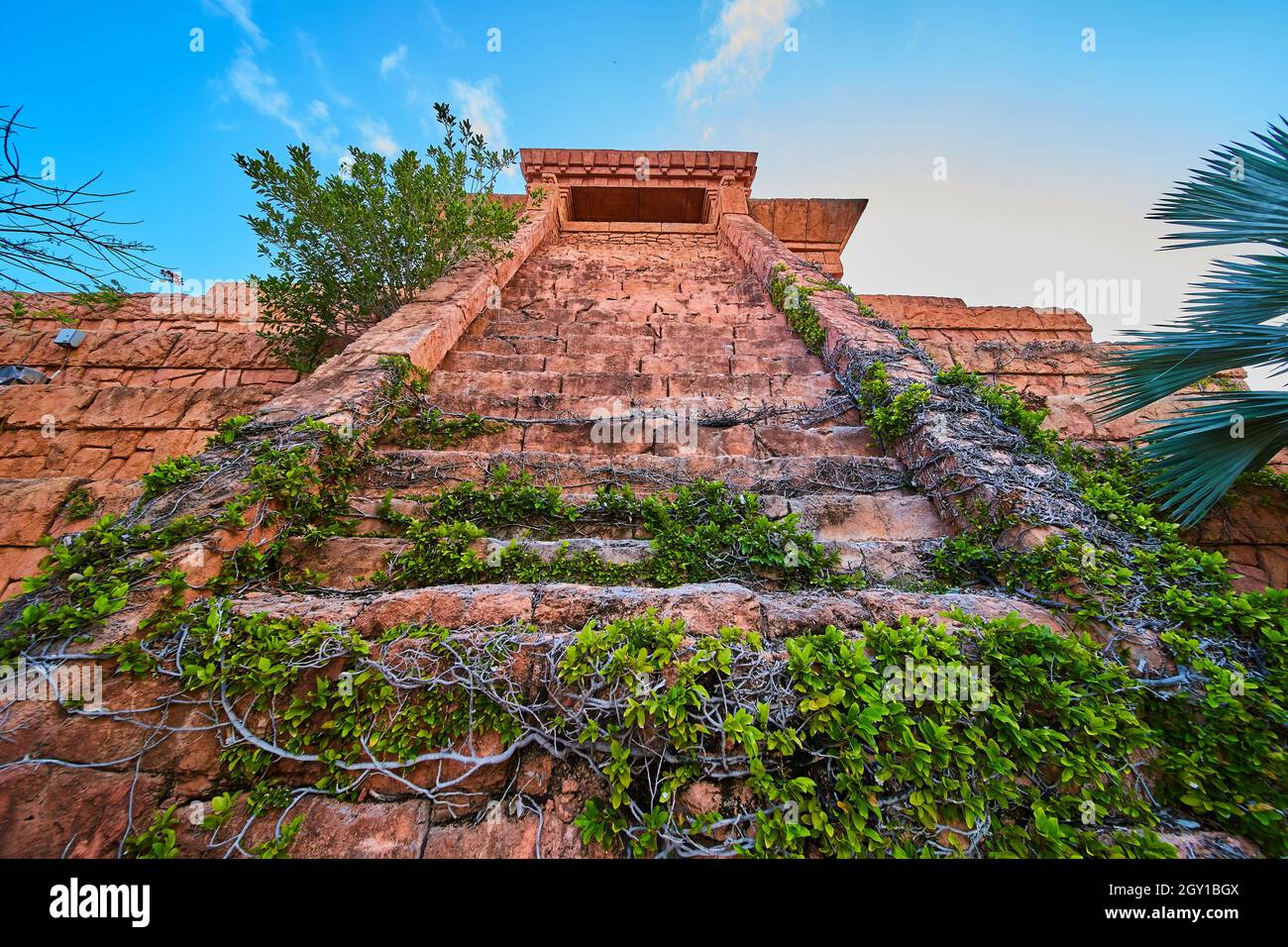 Antichi gradini del tempio coperti di viti e edera Foto Stock