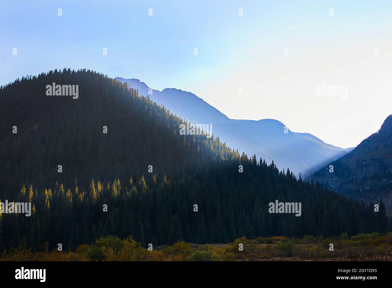 Travi di sole che colpiscono montagne del deserto coperte di pini Foto Stock