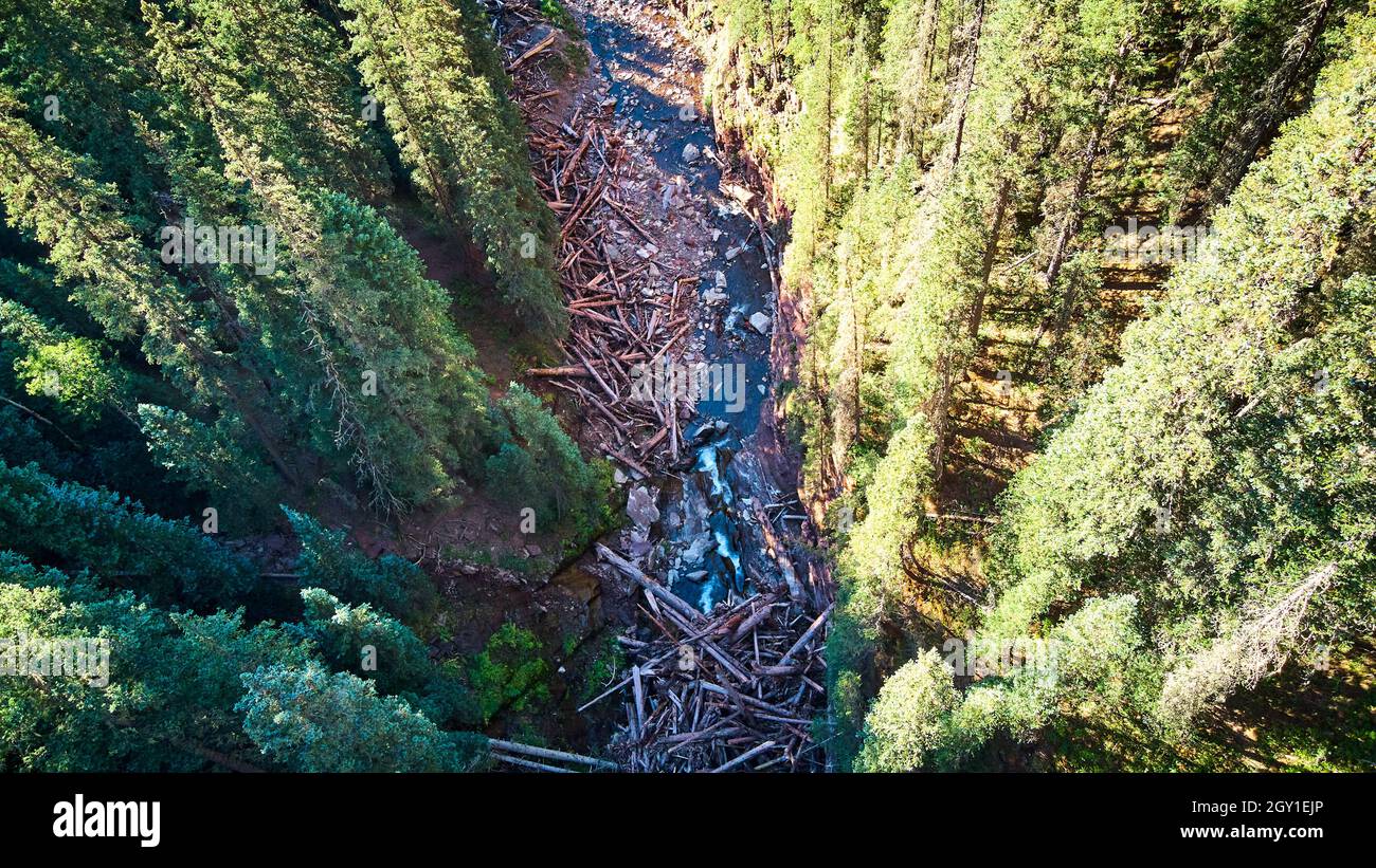 Antenna di danni da incendio boschivo di fiume pieno di grandi tronchi lavati Foto Stock