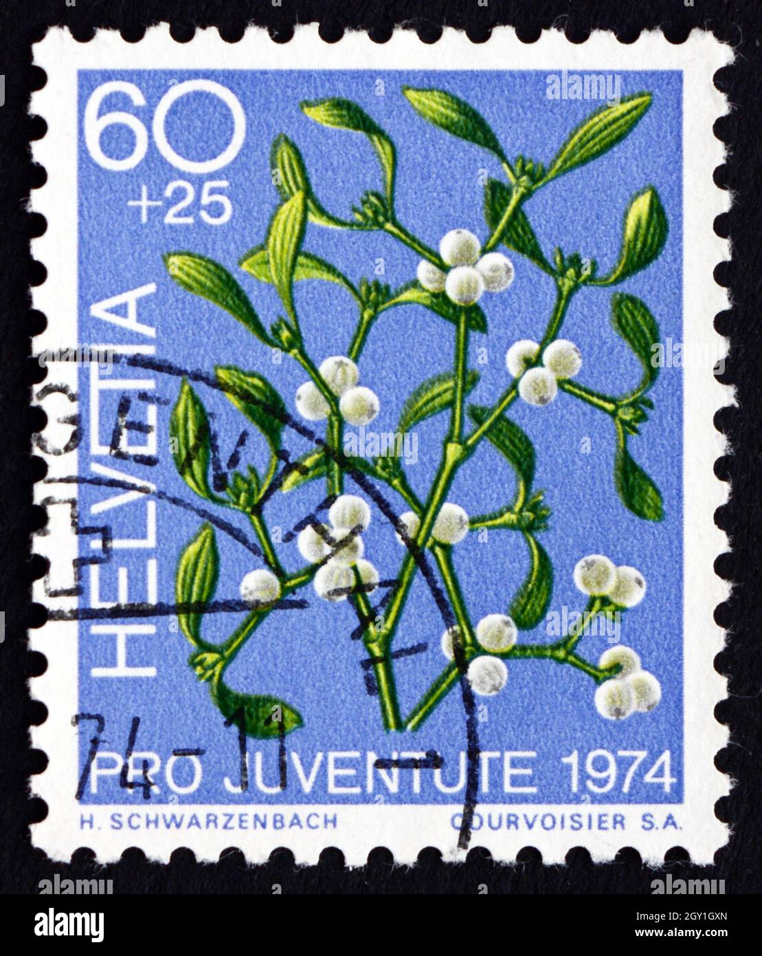 SVIZZERA - CIRCA 1974: Un francobollo stampato in Svizzera mostra Mistletoe, Viscum Album, Plant, circa 1974 Foto Stock