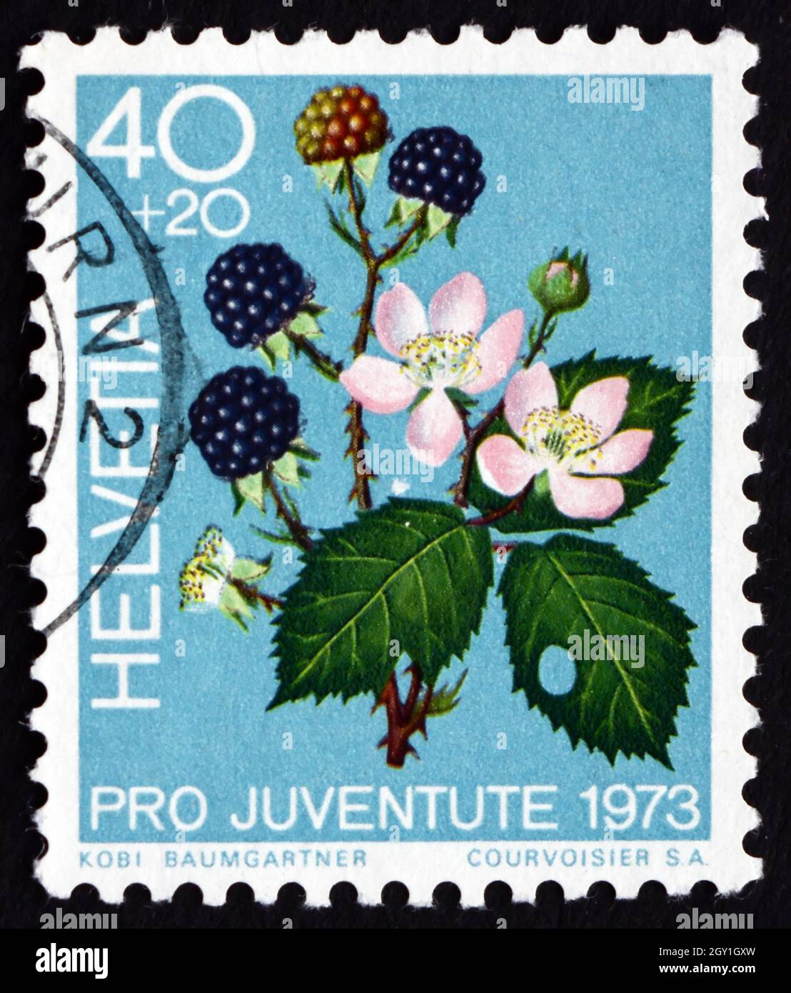 SVIZZERA - CIRCA 1973: Un francobollo stampato in Svizzera mostra more, frutta della Foresta, circa 1973 Foto Stock