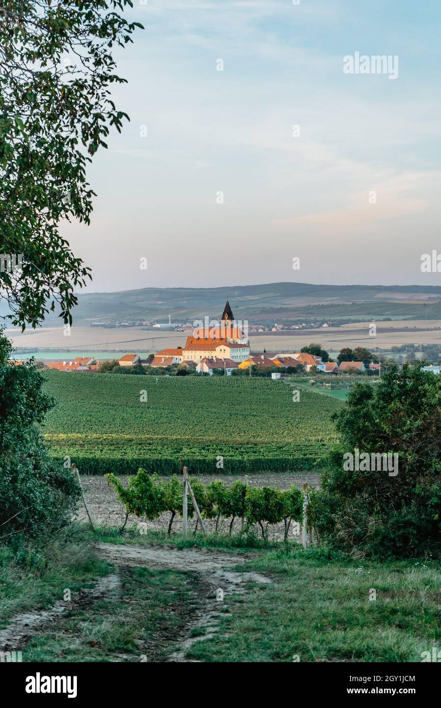 Vigneto autunno paesaggio in Moravia sud, Repubblica Ceca. Filari di vigneti, cielo tramonto, Zajeci villaggio e la chiesa in background.Winemaking Foto Stock