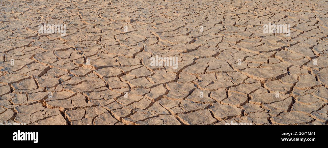 Panorama di fango bruno incrinato, struttura superficiale di terra arida Foto Stock
