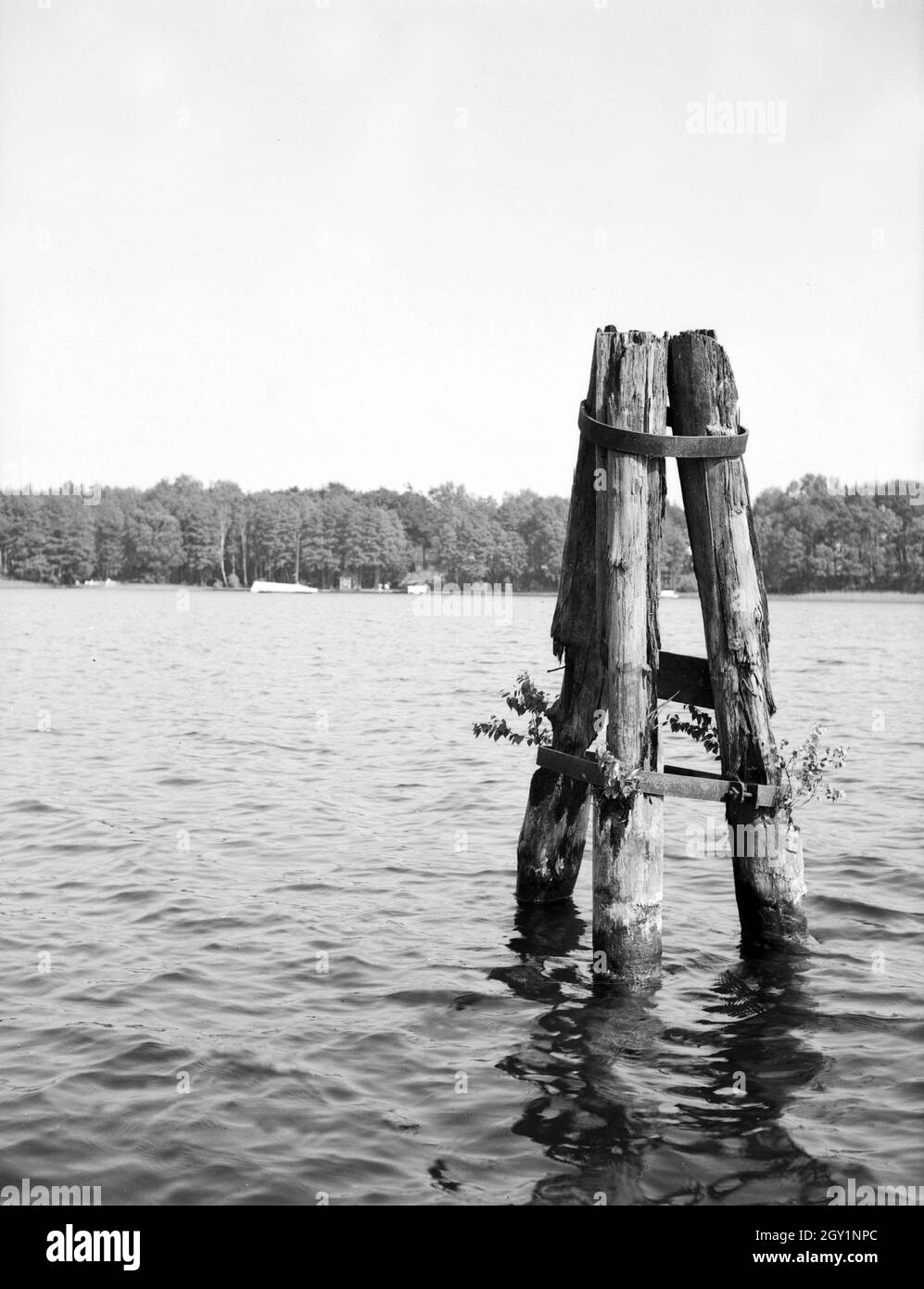 Pfosten Uferbegrenzung als in einem vedere, Deutschland 1930er Jahre. Pali di confine sulla riva di un lago, Germania 1930s. Foto Stock