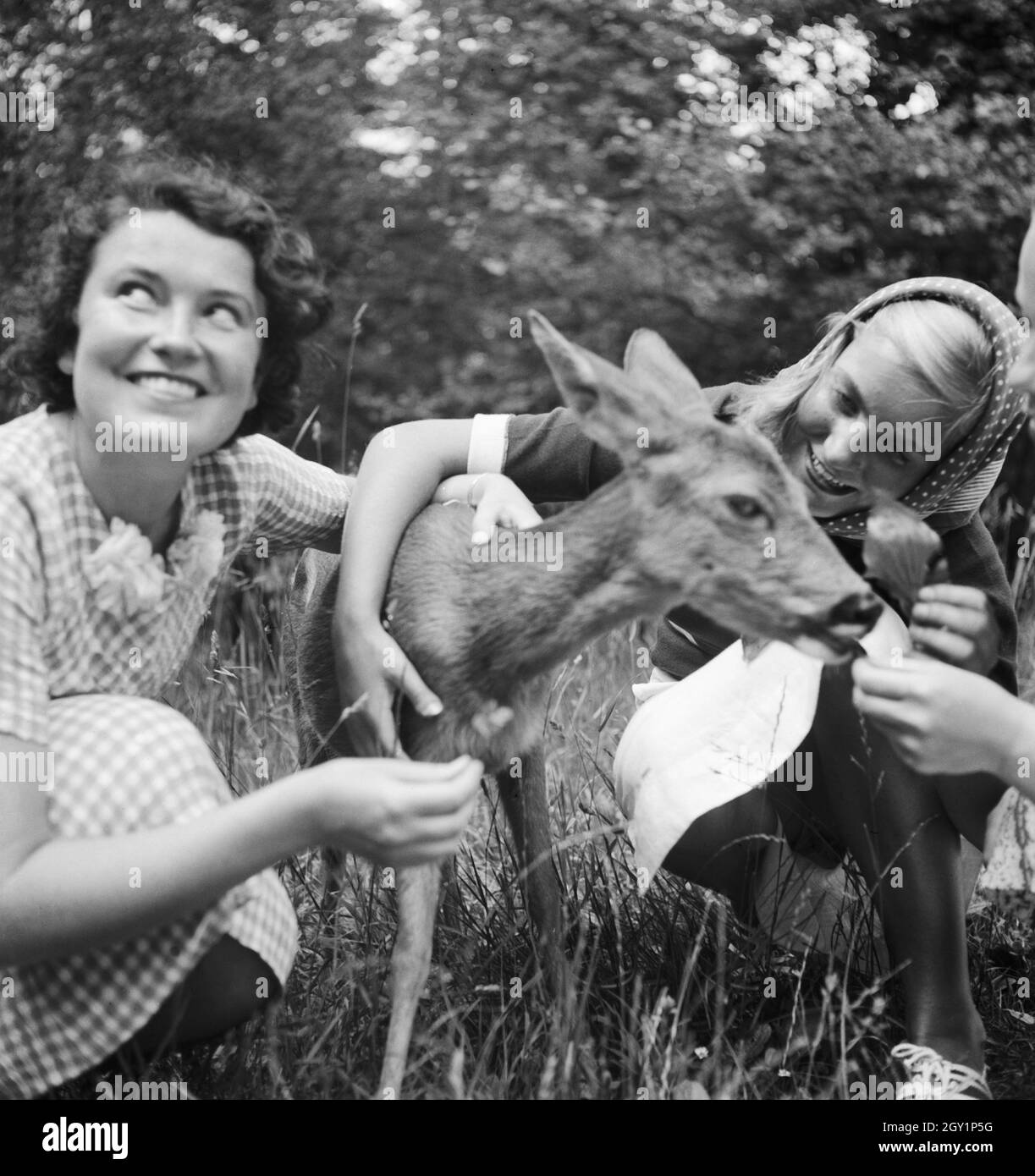 Zwei junge Frauen Mit einem Rehkitz Wilhlema im Tierpark di Stoccarda, Deutschland 1930er Jahre. Due giovani donne con un fulvo al Wilhelma giardino zoologico di Stoccarda, Germania 1930s. Foto Stock