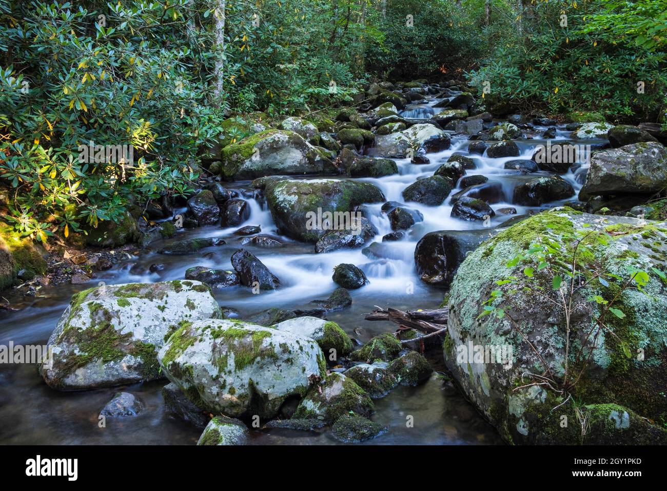 Roaring Creek nelle Blue Ridge Mountains del North Carolina, Stati Uniti Foto Stock