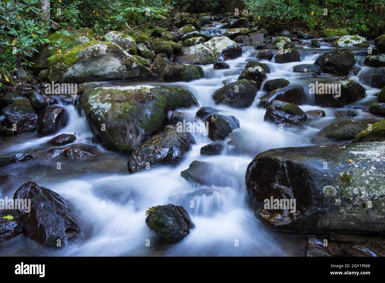 Roaring Creek nelle Blue Ridge Mountains del North Carolina, Stati Uniti Foto Stock