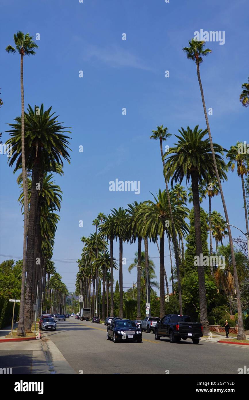 Street scene, Beverly Hills, Los Angeles, California, Stati Uniti Foto Stock