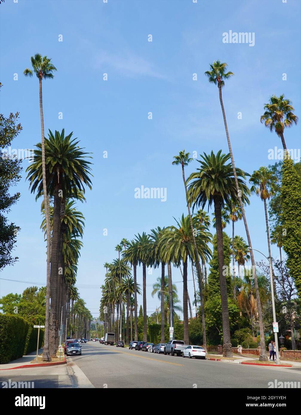 Street scene, Beverly Hills, Los Angeles, California, Stati Uniti Foto Stock