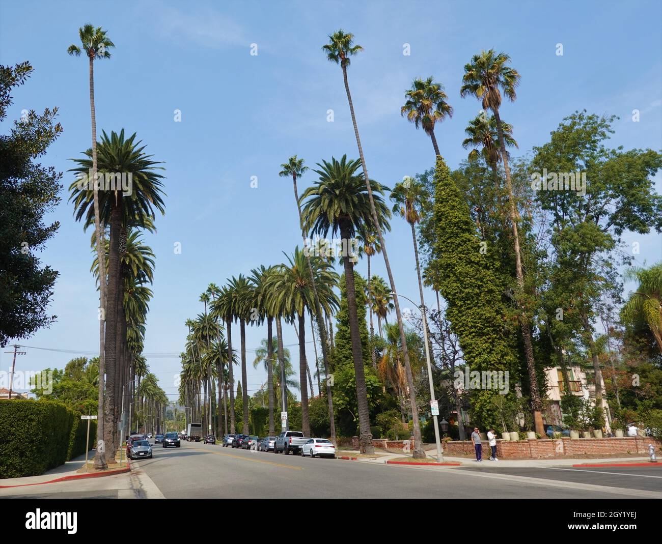 Street scene, Beverly Hills, Los Angeles, California, Stati Uniti Foto Stock