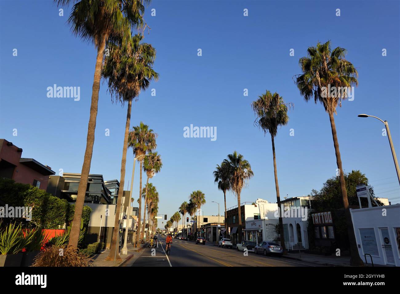 Mattina presto su un tranquillo Abbot Kinney Boulevard, Venezia, Los Angeles, California, USA Foto Stock