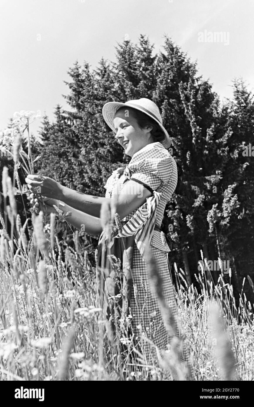 Porträt einer jungen Frau auf einer Blumenwiese, Freudenstadt, Deutschland 1930er Jahre. Ritratto di una giovane donna su un campo di fiori, Freudenstadt Germania 1930s. Foto Stock