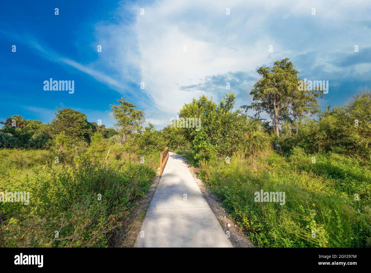 Uno dei numerosi sentieri naturalistici nel Parco Nazionale delle Everglades che vi porta attraverso le zone umide e le foreste delle 'glades'. È divertente e istruttivo. Foto Stock