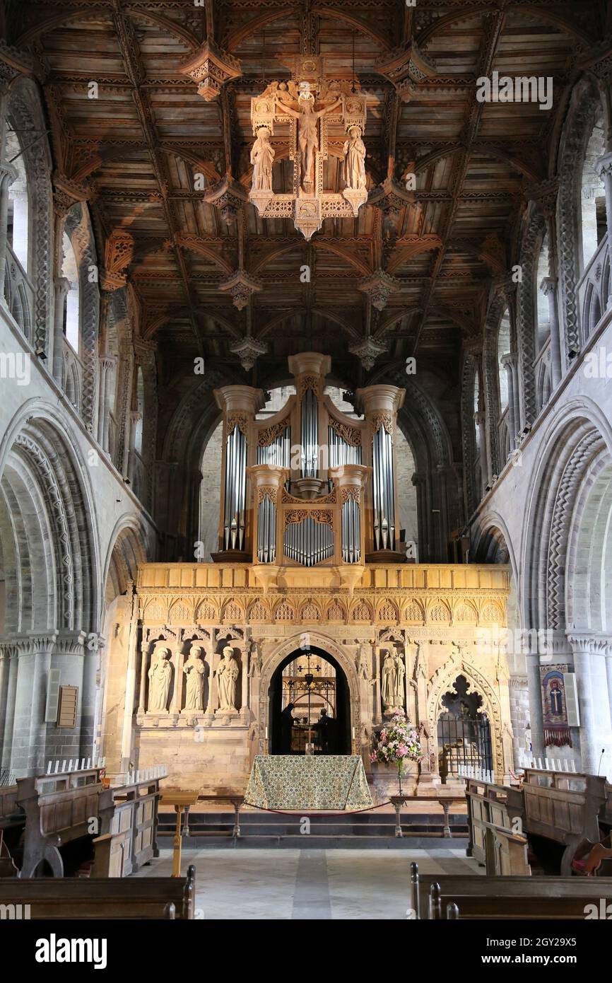 Nave, St David's Cathedral, Pembrokeshire, Galles, Regno Unito, Regno Unito, Europa Foto Stock
