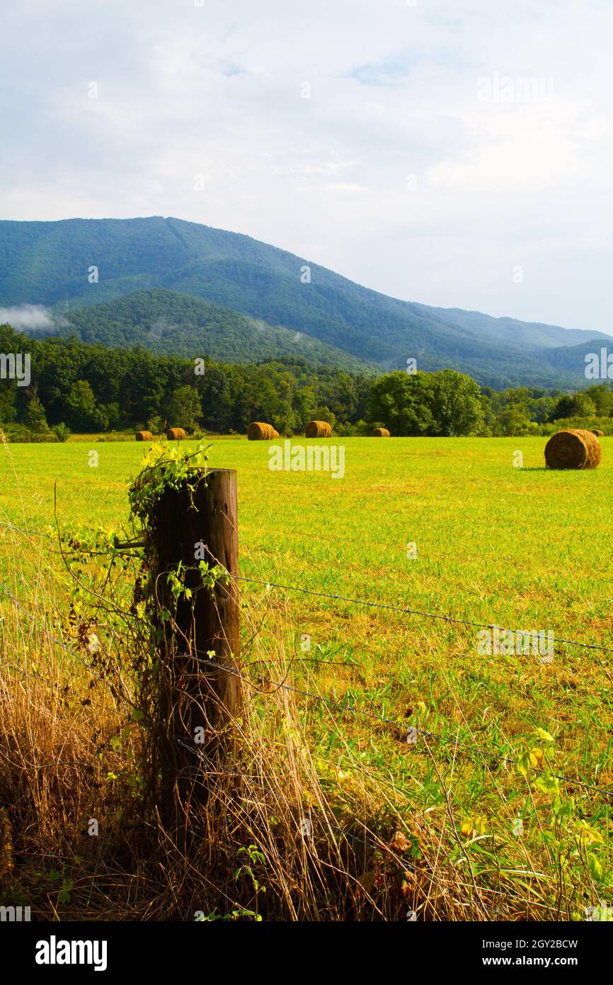 Le balle di fieno punteggiano i campi verdi con un palafetto in primo piano e una grande montagna grigia con alberi alla base sullo sfondo Foto Stock
